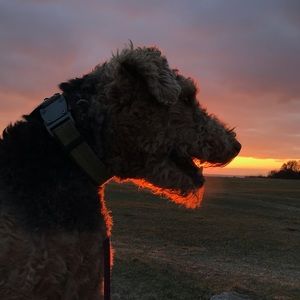 Meet your Posher, G N